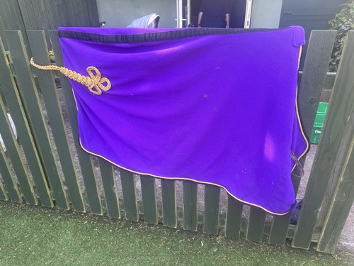Equestrian purple and gold - equestrian,