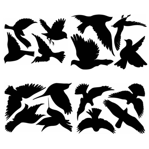 Bird decals prevent - decals,