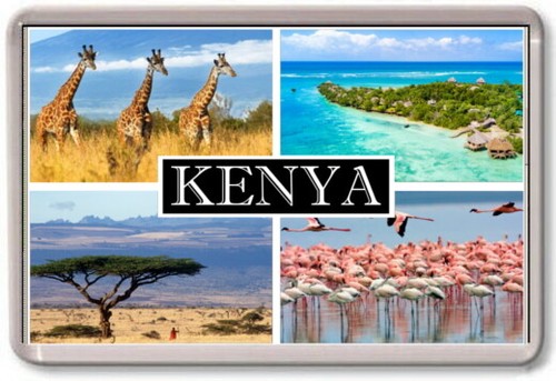 Fridge magnet kenya large - magnet,