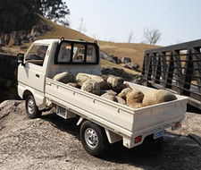 D12 RC Pickup Truck 1/10 Scale