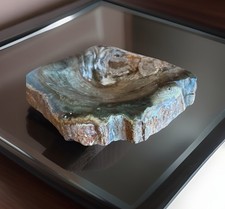 Mineral Fossil Petrified Wood