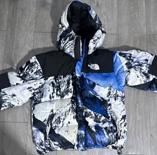 Supreme the north face - north,