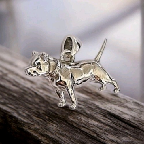 Sterling silver pitbull - sterling,