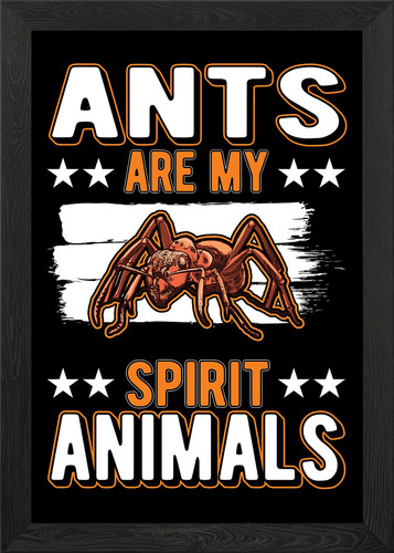 Ant farm keeper framed - farm,