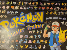 Pokemon Master Trainer Board