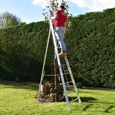 Garden ladder tripod - garden,