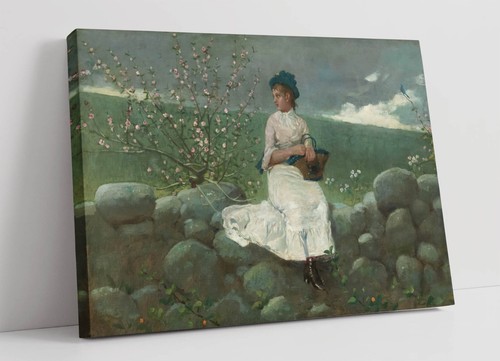 Winslow homer peach blossoms - peach,