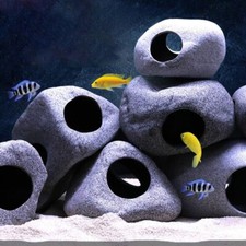 Natural aquarium cave - natural,