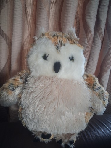 Harry potter owl the cursed - potter,