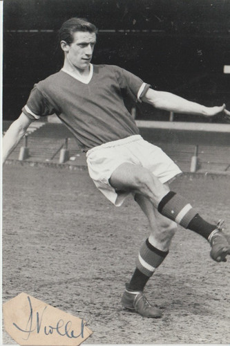 Busby babe hand - busby,