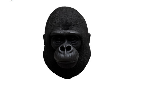 Gorilla head wall hanging - head,