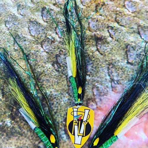 Fly alloy ultimate - 3, v