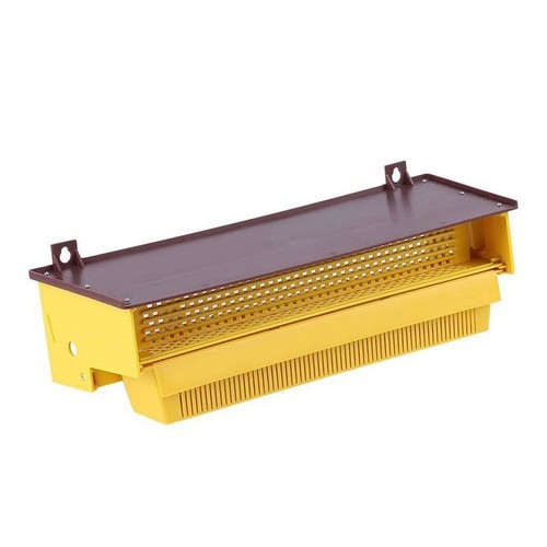 Plastic trap bee - bee, tools