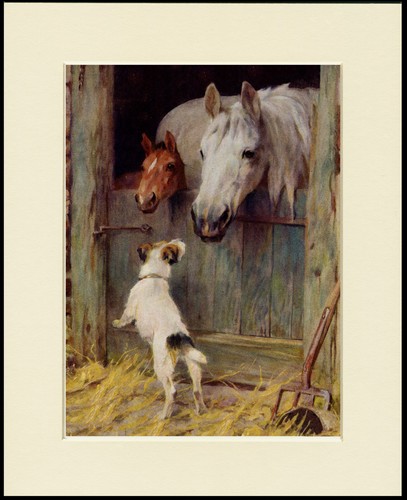 Jack russell terrier dog art - russell,