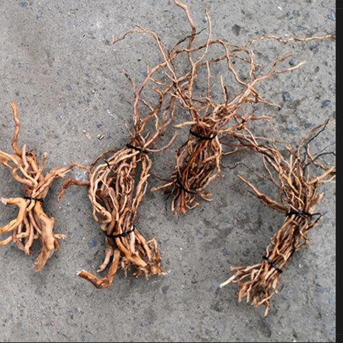 Aquarium driftwood ornament - driftwood,