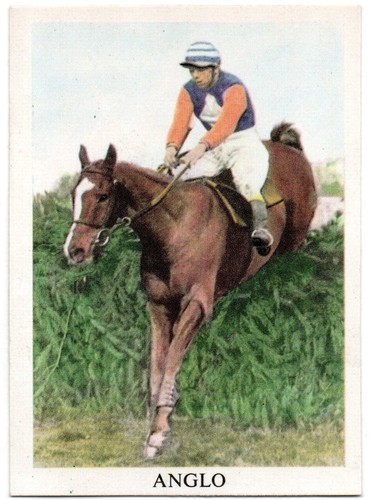 Anglo american gum - gum, card