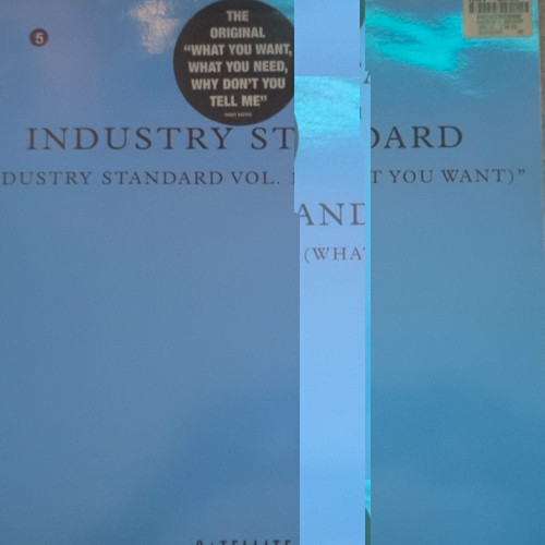 Industry standard vol - standard, 1