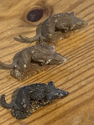 Skaven giant rats - skaven,