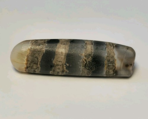 6mm ancient rare - 23.6mm,