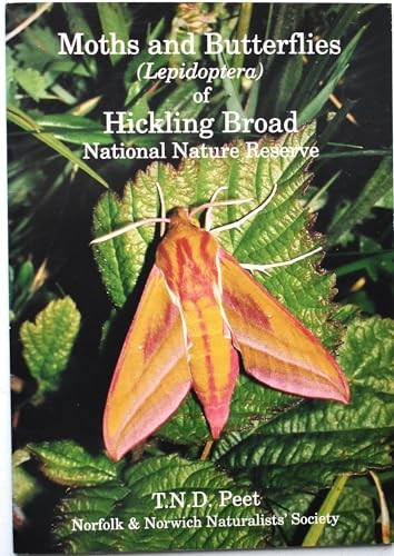 Moths and butterflies - moths, of