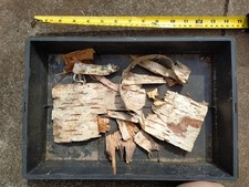 Silver birch bark bushcraft