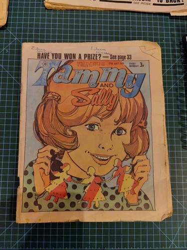 Tammy and sally comic - sally,