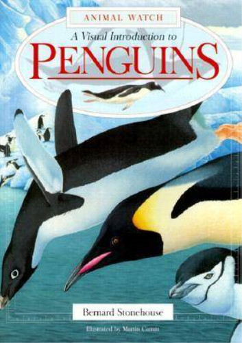 Penguins - , (animal