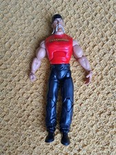 WWE Hulk Hogan Wrestling