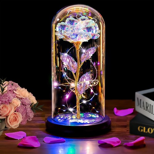 Light flower rose - flower,