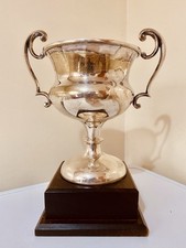 Silver trophy - 🏆,