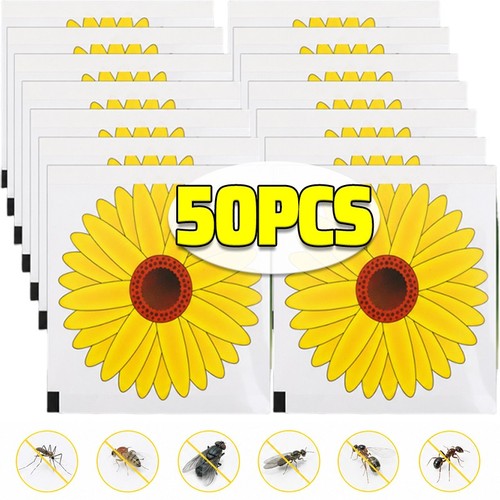 20pcs window fly - 20pcs,