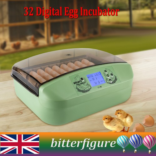 Digital egg incubator - 32,