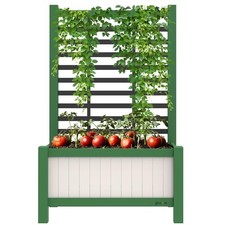 Raised Garden Bed Outdoor
