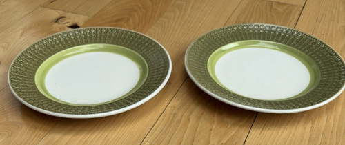Fashion manor earthen ware - 2,