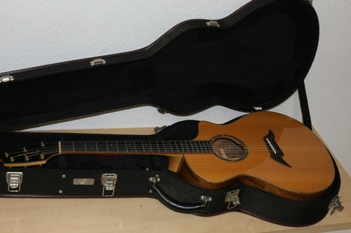 Breedlove master class - class, concert