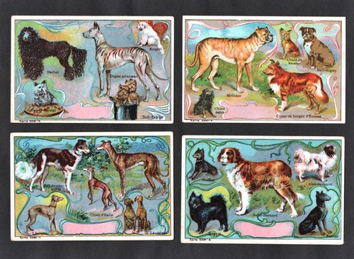Dog breeds french trade - breeds,
