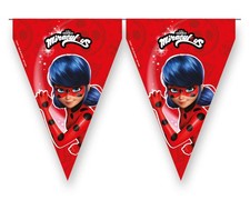 Miraculous Ladybug Birthday