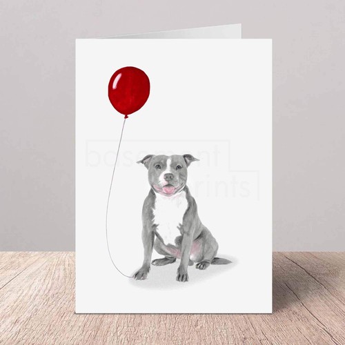 Staffordshire bull terrier - staffordshire,