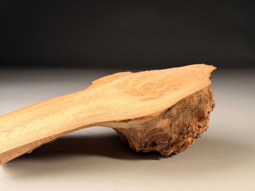 Cap burr elm live edge - cap, resin
