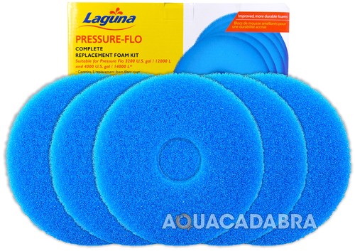 Laguna pressure flow - pressure, 8000