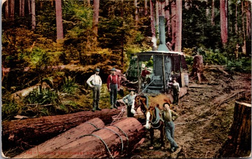 Washington logging postcard - logging,