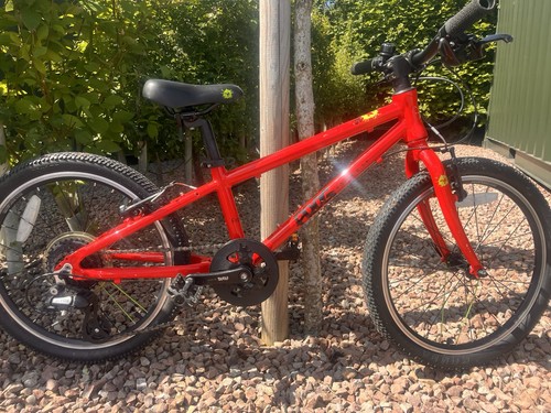 Frog kids mountain - kids', 20"