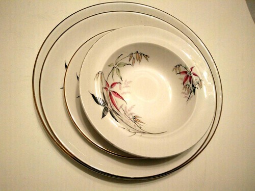 Swinnertons dinner side plates - dinner/side,