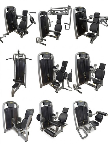 Technogym selection line - technogym,