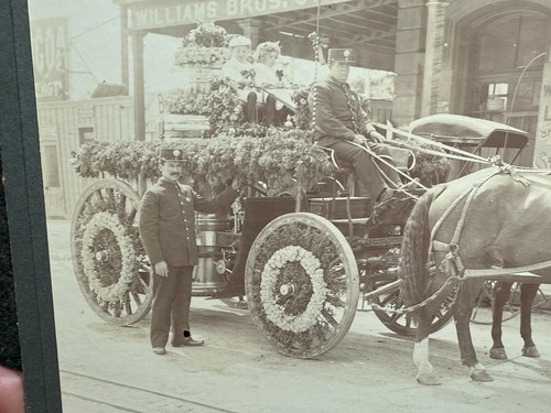 Antique c1900s horse - antique, horse-drawn