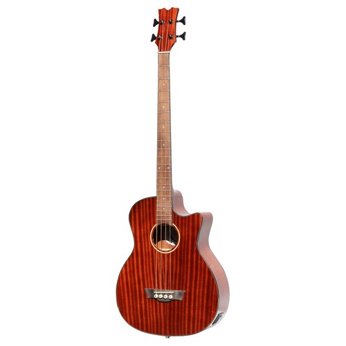 Acoustic electric bass guitar - bass,