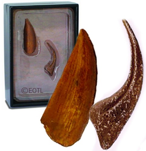 New collecta 89291 model - new,