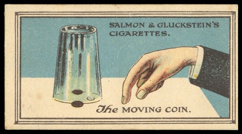 Salmon gluckstein magical - &, 'magical