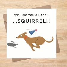 Greyhound whippet SQUIRREL Dog