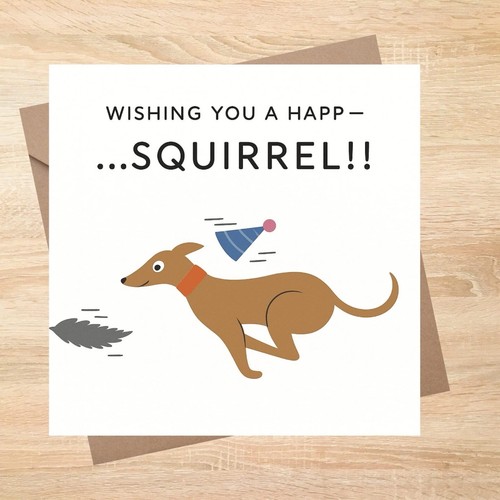 Greyhound whippet squirrel - whippet,